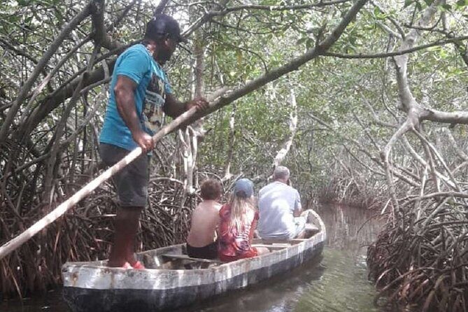 Shared Cartagena Mud Volcano + Mangrove Tour including lunch - Final Thoughts