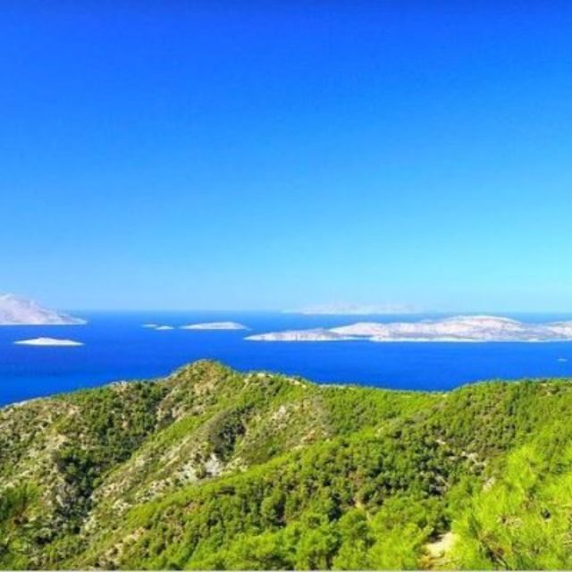 Shared Day Trip from Rhodes to Alimia island - An Authentic Day on the Water: What to Expect