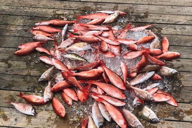 Shared Deep Sea Fishing Trip from Destin - Key Points