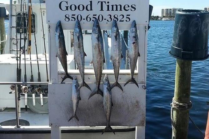 Shared Deep Sea Fishing Trip from Destin - The Bottom Line