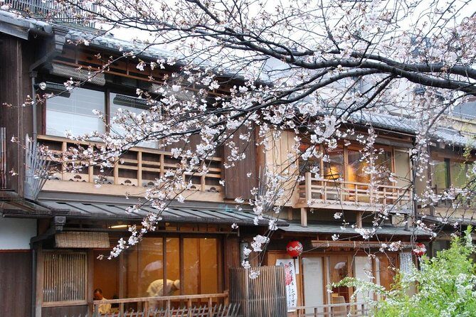 Shared Departure Transfer : Kyoto City to Kansai International Airport - An In-depth Look at the Shared Transfer Experience