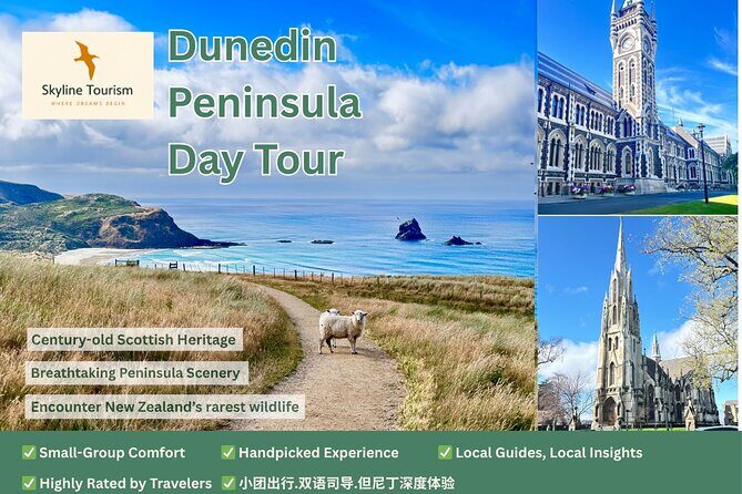 Shared Dunedin City & Otago Peninsula Scenery Day Tour up to 10 - A Detailed Look at the Dunedin & Otago Peninsula Scenery Day Tour