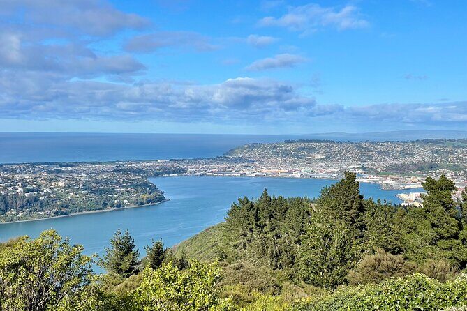 Shared Dunedin City & Otago Peninsula Scenery Day Tour up to 10 - Final Thoughts