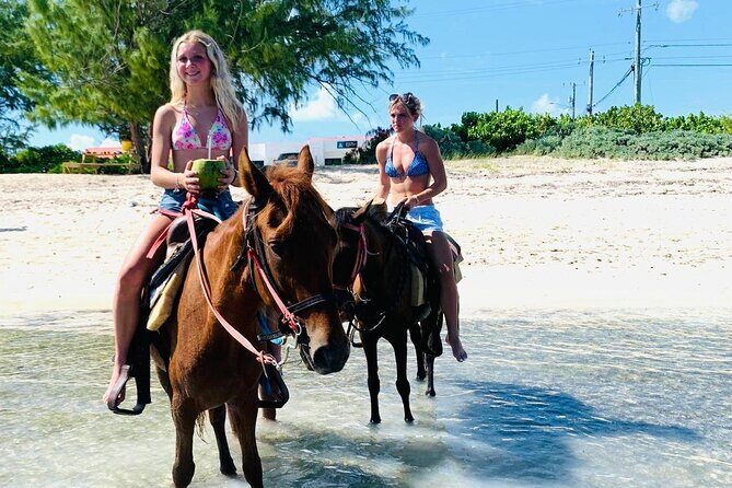 Shared Horseback Riding in Turks and Caicos - Authentic Experiences Highlighted by Reviews