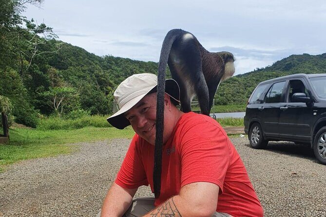 Shared Island Tour with Lunch & Admissions - What Makes This Tour Stand Out?