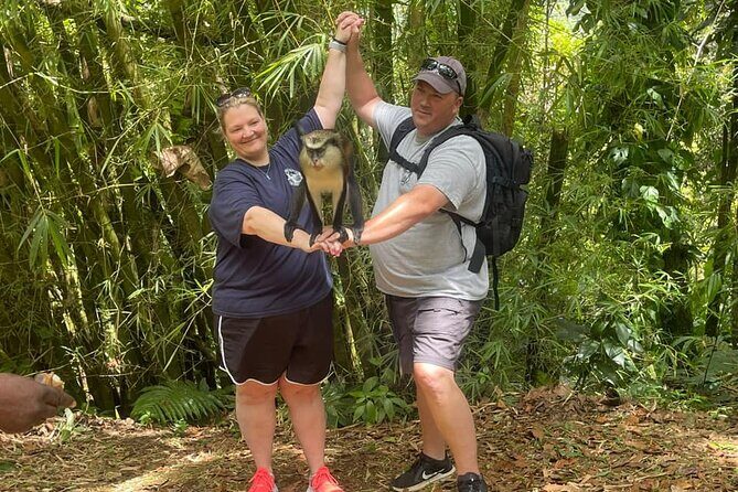 Shared Island Tour with Lunch & Admissions - The Sum Up