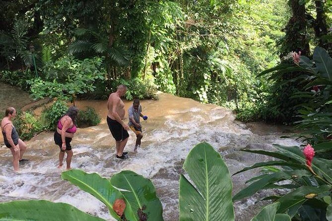 Shared Konoko Falls and Tropical Garden Tour from Ocho Rios - Why This Tour Might Be Perfect for You
