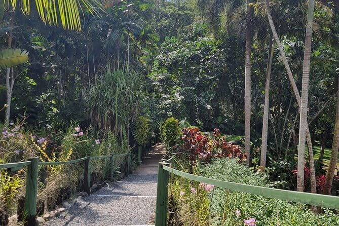Shared Local Village Tour in Coral Coast - Final Thoughts: Is It Worth It?