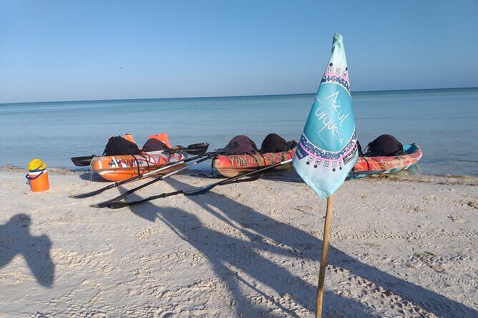 Shared mangroves kayak tour in Holbox - The Sum Up