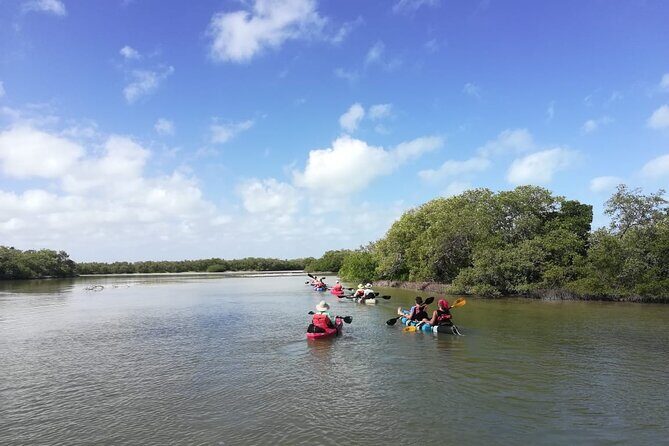 Shared mangroves kayak tour in Holbox - FAQ