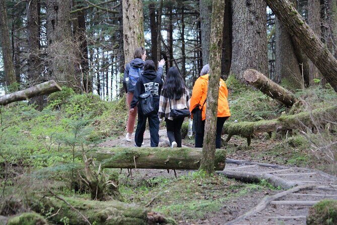 Shared Mindfulness in Wilderness Tour From Alaska - Key Points