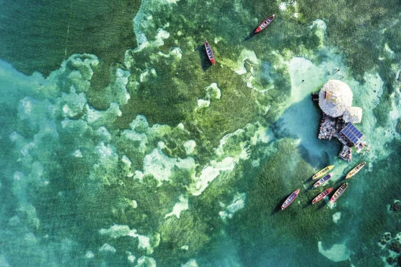 Shared or Private FD Appleton Rum, YS Falls & Pelican Bar - In-Depth Breakdown: The Experience from Start to Finish