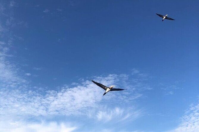 Shared Puerto Vallarta City Tour By The Sea aboard Bruna - Mismaloya Point: Breathtaking Vistas