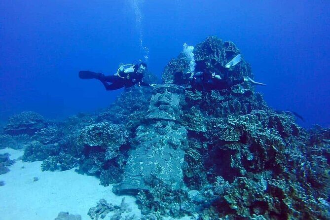 Shared Scuba Diving Experience on Easter Island one dive only - Exploring Easter Island from Underwater: A Practical Review of the Shared Scuba Experience