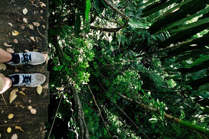 Shared Shuttle Arenal to Monteverde - Deep Dive into the Experience