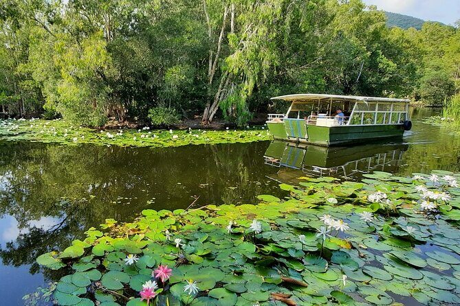 Shared Shuttle Return Transfers (ex Cairns) Transfers Only - Starting the Day: Comfortable Transfers & Scenic Drive
