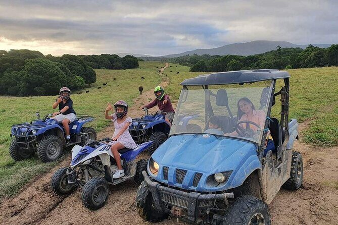 Shared Shuttle Return Transfers (ex Cairns) Transfers Only - The Experience for Different Travelers