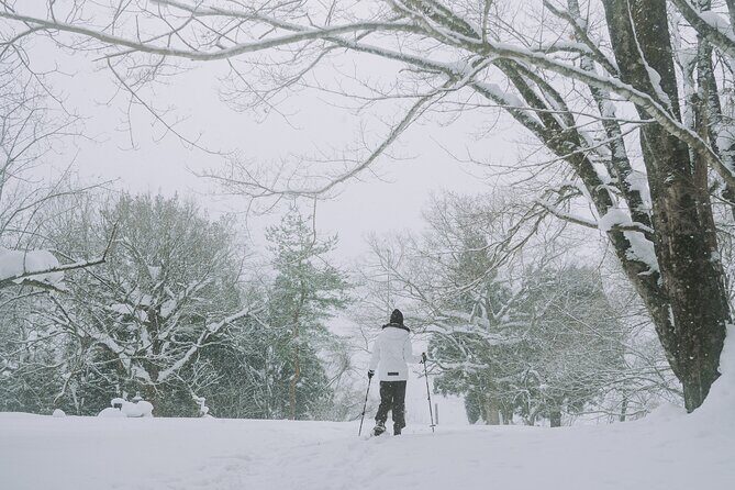 Shared Snowshoe Hiking Tour in Semboku - Final Thoughts: Is This Tour Right for You?