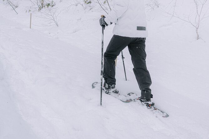 Shared Snowshoe Hiking Tour in Semboku - FAQs