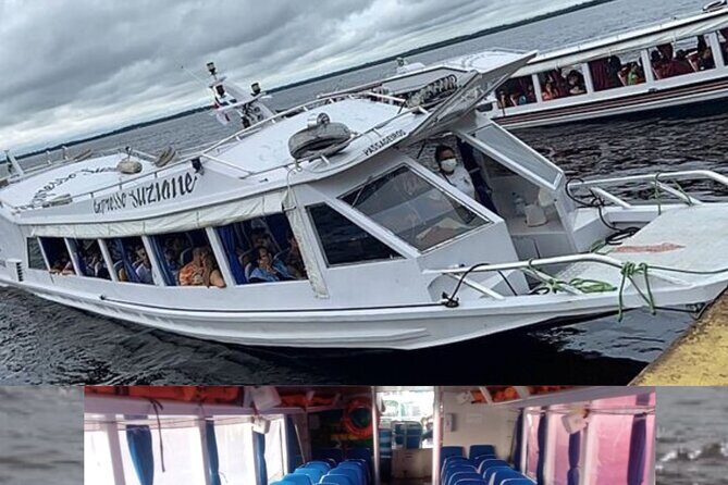 Shared Tour Amazonian Natural Beauty in Manaus - Key Points