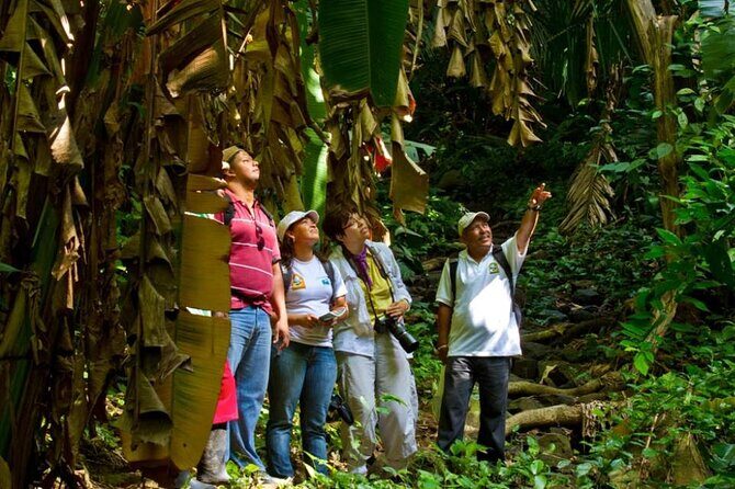 Shared Tour in Mombacho Natural Reserve and Canopy Adventures - Key Points