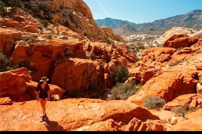 Shared Tour in Red Rock Canyon - Why This Tour Offers Real Value