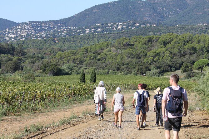 Shared Tour - Wine tour from Saint Tropez - A Practical and Authentic Wine Experience in Saint-Tropez