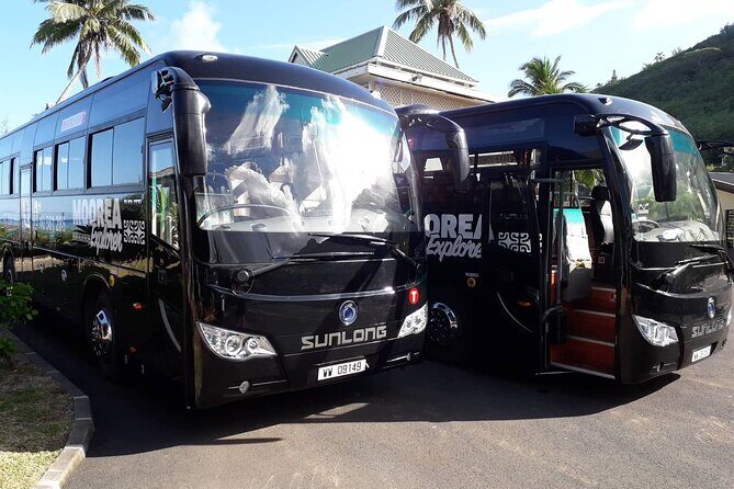 Shared Transfer : Hotel to Moorea Airport (or) Pier - A Simple, Stress-Free Way to End Your Moorea Stay