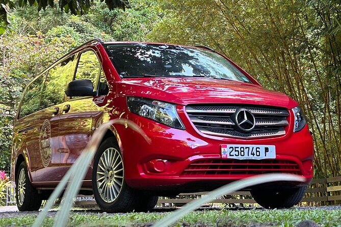 Shared Transfer: Tahiti Airport to Hotel or Cruise Port - Practical Details & Tips
