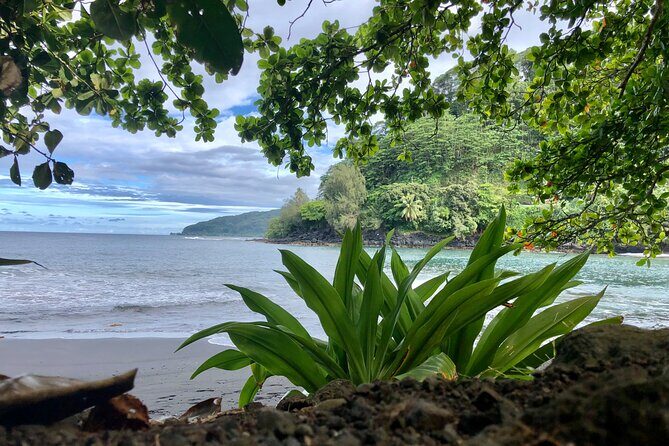 Shared Transfer: Tahiti Airport to Hotel or Cruise Port - Frequently Asked Questions