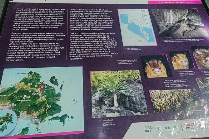 Sharing Half Day Mangrove Boat Tour With Lunch in Langkawi - Starting with Eagles and Wildlife