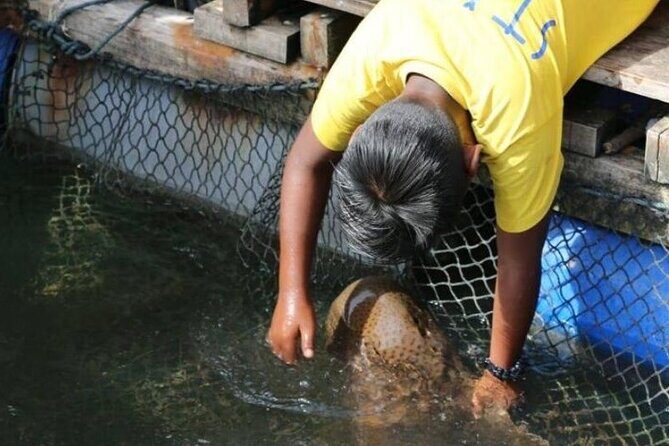 Sharing Half Day Mangrove Boat Tour With Lunch in Langkawi - Kilim Geoforest Park and Tanjung Rhu Beach