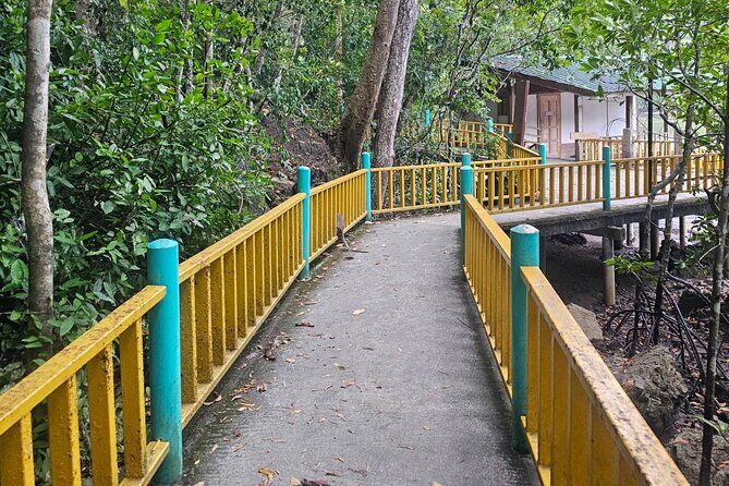 Sharing Half Day Mangrove Boat Tour With Lunch in Langkawi - The Fish Farm and Lunch