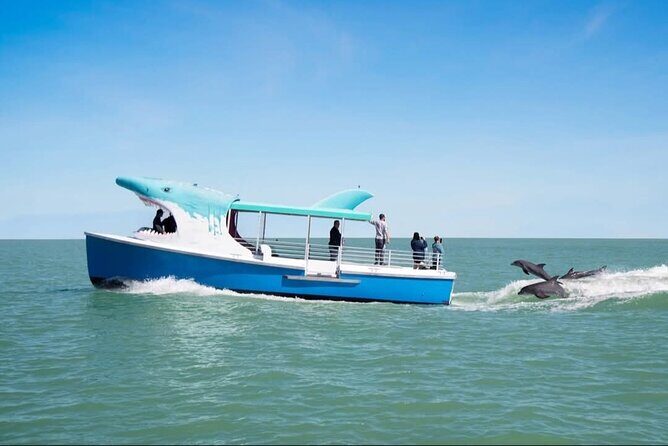 Shark Boat Destin Daytime Dolphin Watch and Sunset Cruise - Final Thoughts: Who Is This Tour Best For?