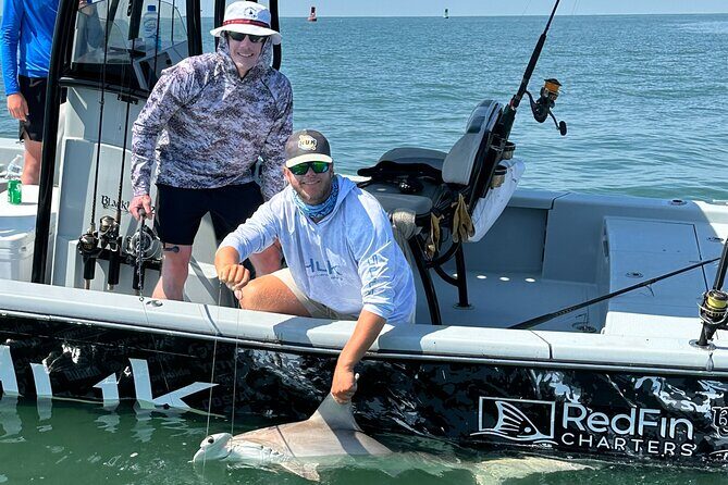 Shark Fishing Charter - The Value of a Shark Fishing Charter in Charleston