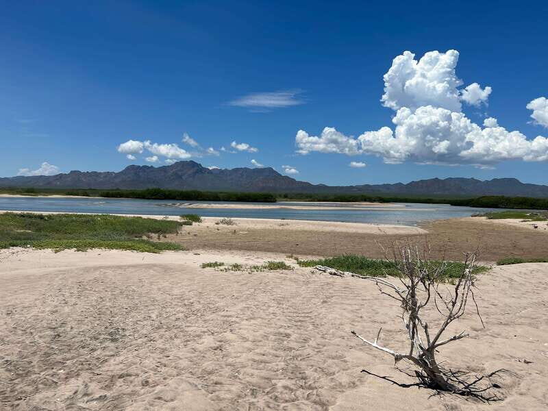 Shark Island: Tour of the largest island in Mexico - Shark Island: Tour of the Largest Island in Mexico