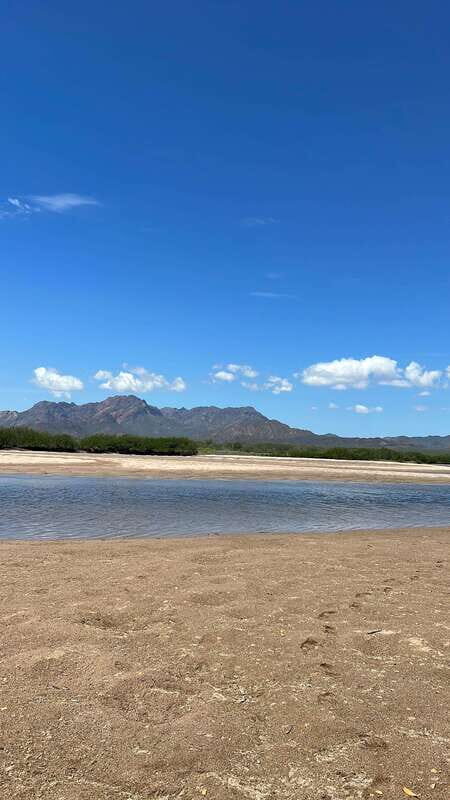 Shark Island: Tour of the largest island in Mexico - Key Points