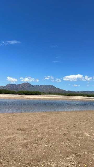 Shark Island: Tour of the largest island in Mexico - Practicalities and Considerations