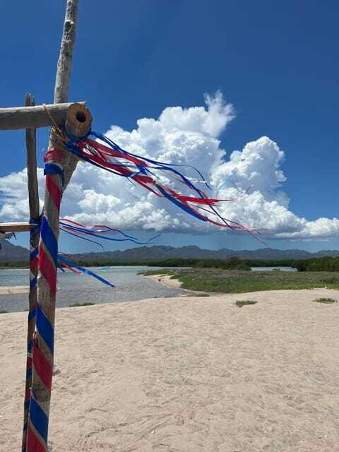 Shark Island: Tour of the largest island in Mexico - Who Will Love This Tour?
