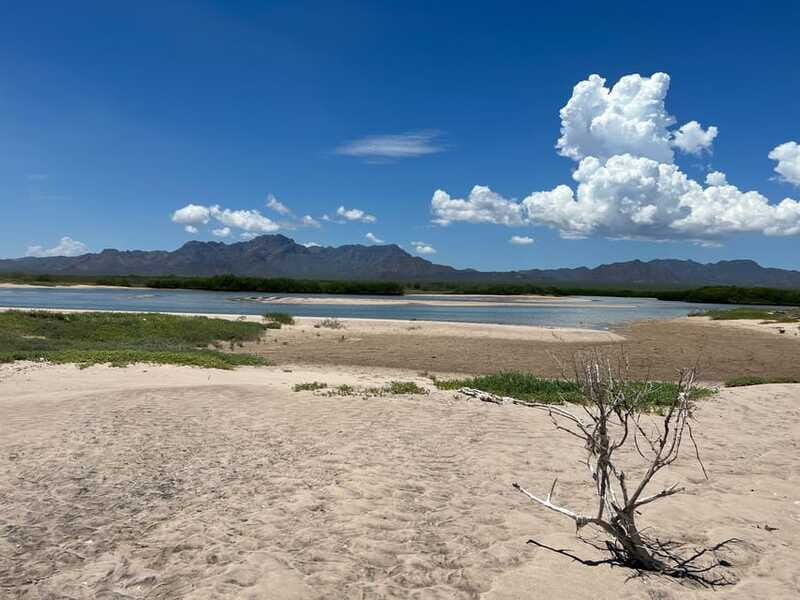 Shark Island: Tour of the largest island in Mexico - The Sum Up