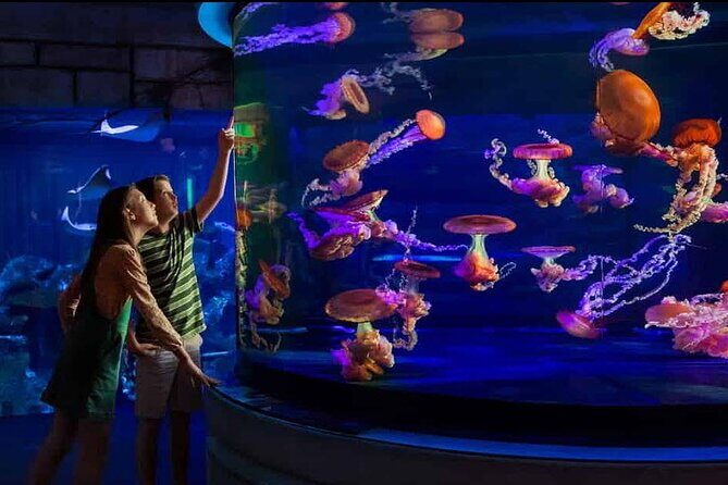 Shark Reef at Mandalay Bay Hotel and Casino - Practical Details and Tips