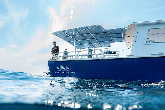 Shark Snorkeling Experience in South Florida - A Detailed Look at the Shark Snorkeling Adventure