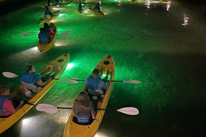 Sharkey's Glass Bottom Fish Feeding LED Night Tour in Clearwater - What Makes This Tour Stand Out?