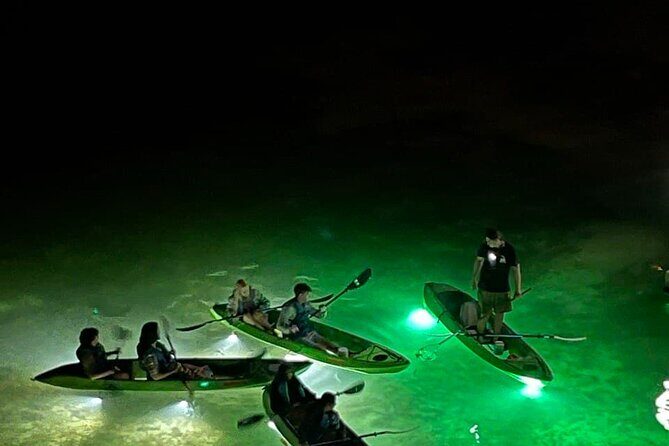 Sharkey's Glass Bottom Fish Feeding LED Night Tour in Clearwater - The Sum Up