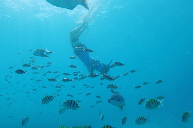 Shasa Catamaran Cruises Limited Numbers 3 Hour Sail and Snorkel - FAQ