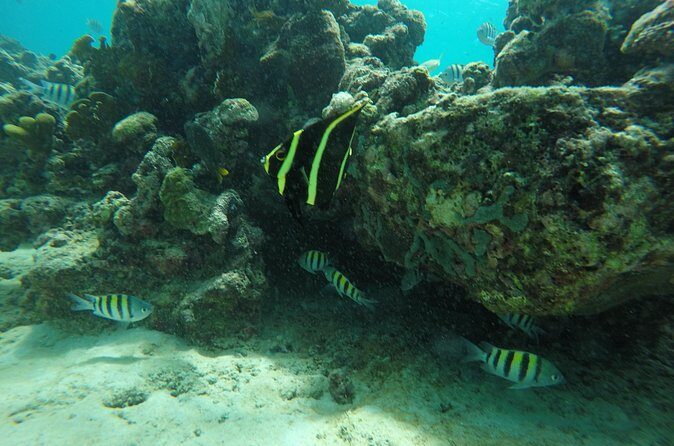 Shasa private catamran sailing cruise, Snorkel with turtles. - Frequently Asked Questions