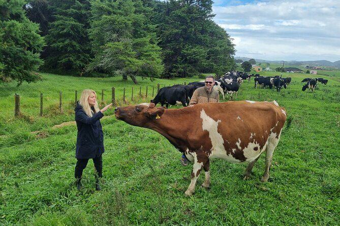 Sheep & Beef Working Farm Private Tour - Discover the Heart of New Zealand Farming with a Sheep & Beef Working Farm Private Tour