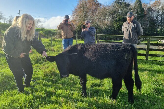 Sheep & Beef Working Farm Private Tour - Final Thoughts