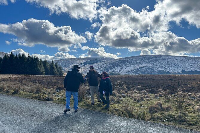 Sheepdogs in the countryside, authentic Dubliners city tour combo - Key Points