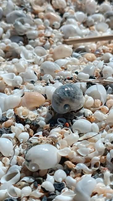 Shell beach Turtle head and Kok-Moinok canyons - Key Points